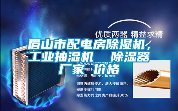 眉山市配電房除濕機，工業抽濕機  除濕器廠家 價格