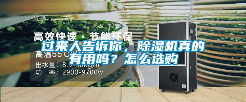 過來人告訴你，除濕機(jī)真的有用嗎？怎么選購