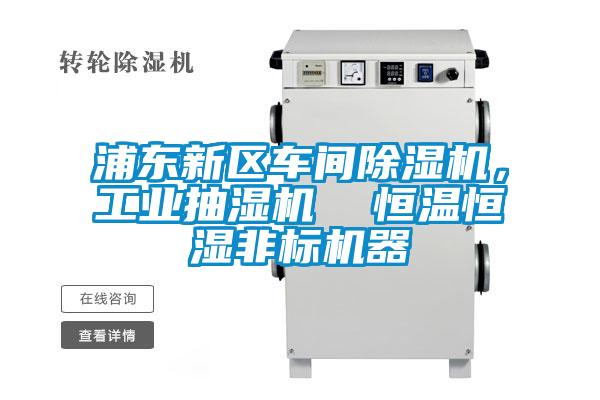 浦東新區(qū)車間除濕機(jī)，工業(yè)抽濕機(jī)  恒溫恒濕非標(biāo)機(jī)器