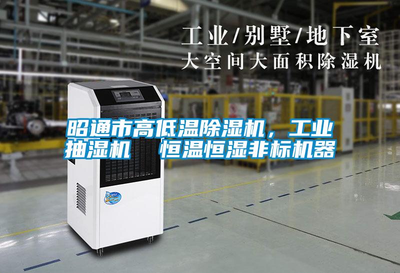 昭通市高低溫除濕機，工業抽濕機  恒溫恒濕非標機器