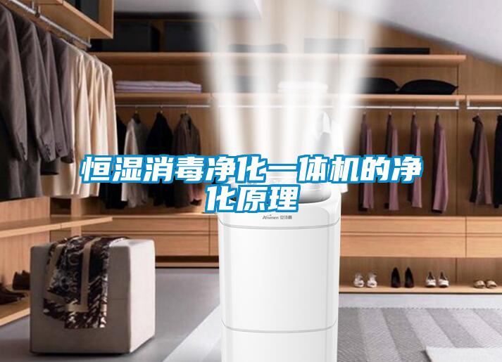 恒濕消毒凈化一體機(jī)的凈化原理