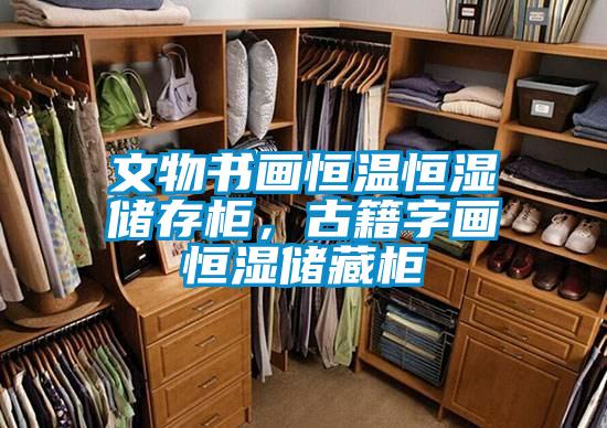 文物書畫恒溫恒濕儲存柜，古籍字畫恒濕儲藏柜