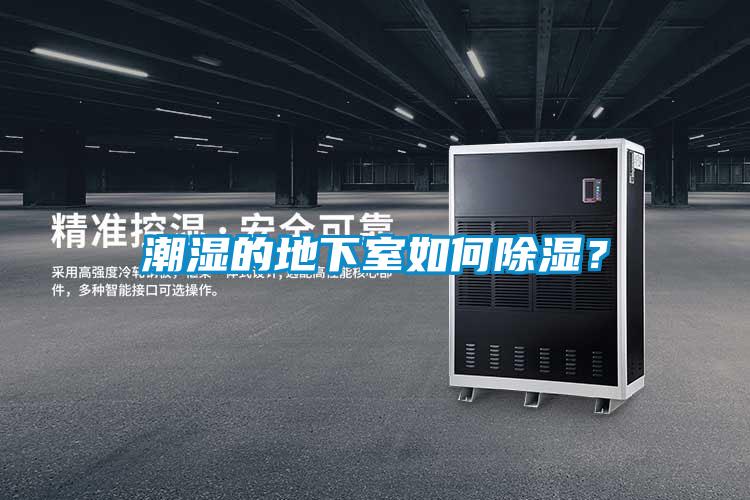潮濕的地下室如何除濕？
