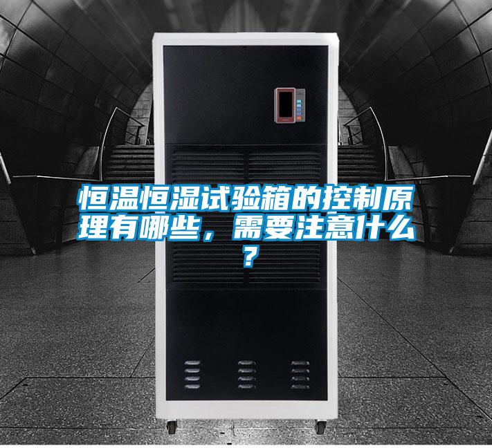 恒溫恒濕試驗(yàn)箱的控制原理有哪些，需要注意什么？