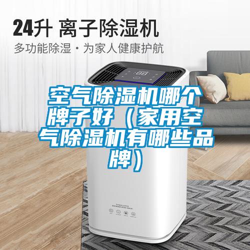 空氣除濕機(jī)哪個牌子好（家用空氣除濕機(jī)有哪些品牌）