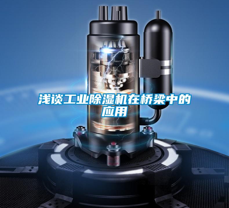 淺談工業(yè)除濕機在橋梁中的應用