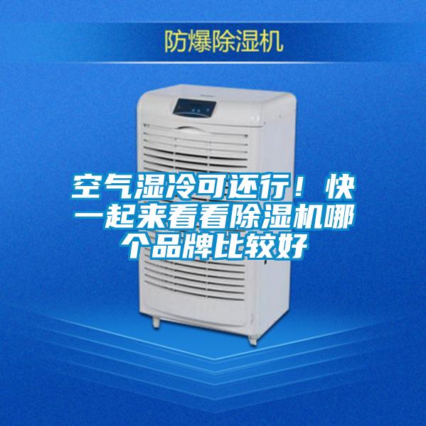 空氣濕冷可還行！快一起來(lái)看看除濕機(jī)哪個(gè)品牌比較好