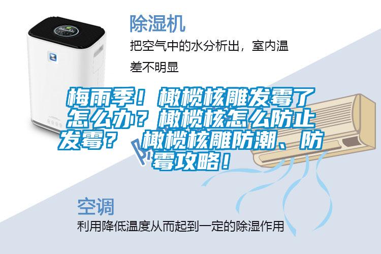 梅雨季！橄欖核雕發(fā)霉了怎么辦？橄欖核怎么防止發(fā)霉？ 橄欖核雕防潮、防霉攻略！