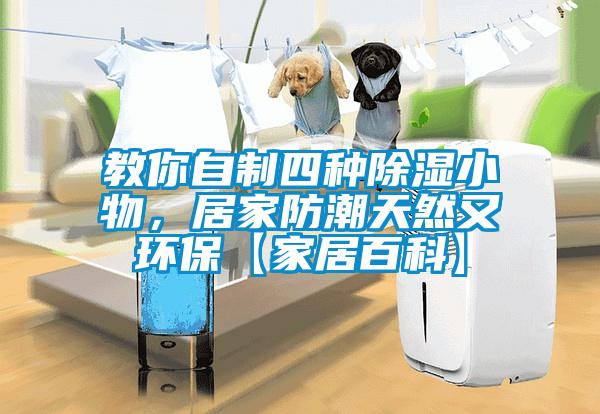 教你自制四種除濕小物，居家防潮天然又環(huán)?！炯揖影倏啤?/></p>
<p style=
