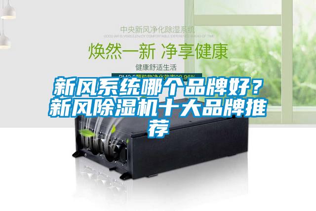 新風(fēng)系統(tǒng)哪個品牌好？新風(fēng)除濕機十大品牌推薦