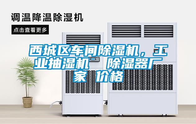 西城區(qū)車間除濕機(jī)，工業(yè)抽濕機(jī)  除濕器廠家 價(jià)格