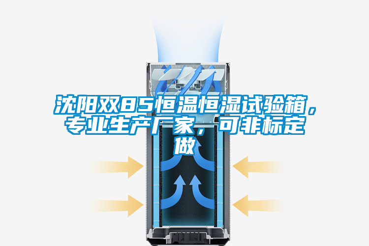 沈陽雙85恒溫恒濕試驗箱，專業生產廠家，可非標定做