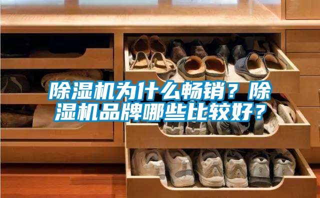 除濕機為什么暢銷？除濕機品牌哪些比較好？