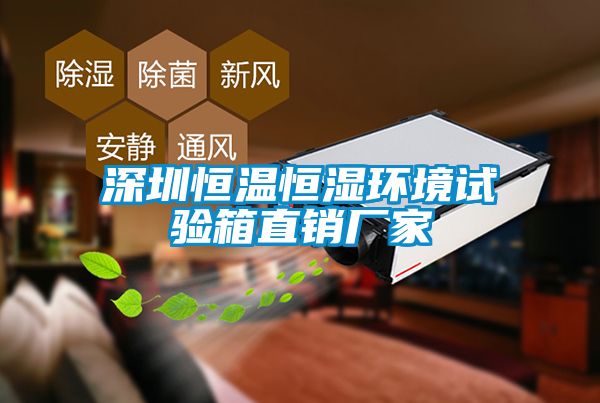 深圳恒溫恒濕環境試驗箱直銷廠家