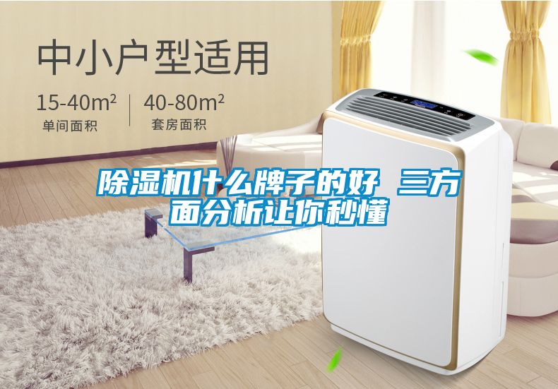 除濕機(jī)什么牌子的好 三方面分析讓你秒懂