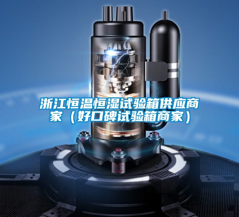 浙江恒溫恒濕試驗箱供應(yīng)商家（好口碑試驗箱商家）