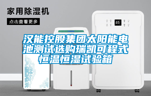 漢能控股集團(tuán)太陽能電池測(cè)試選購(gòu)瑞凱可程式恒溫恒濕試驗(yàn)箱