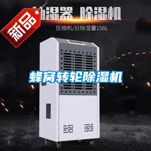 蜂窩轉(zhuǎn)輪除濕機