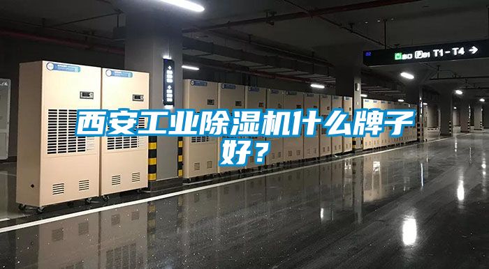 西安工業除濕機什么牌子好？