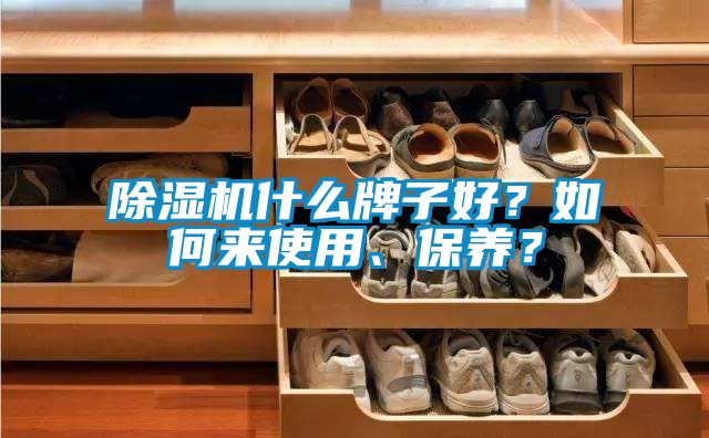 除濕機什么牌子好？如何來使用、保養？