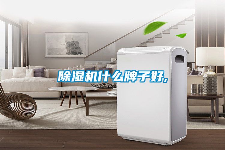 除濕機(jī)什么牌子好,