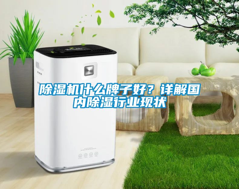 除濕機(jī)什么牌子好？詳解國(guó)內(nèi)除濕行業(yè)現(xiàn)狀
