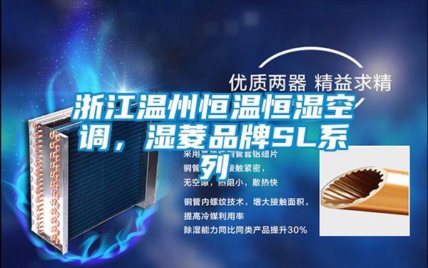 浙江溫州恒溫恒濕空調，濕菱品牌SL系列