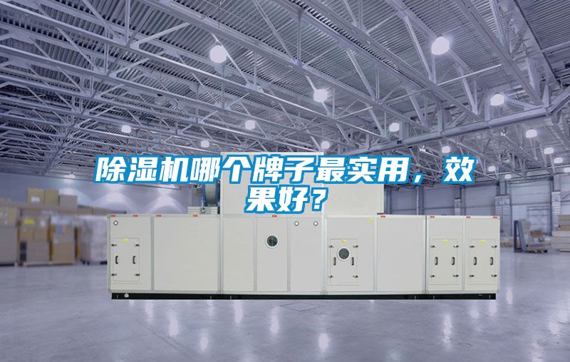 除濕機(jī)哪個牌子最實用，效果好？