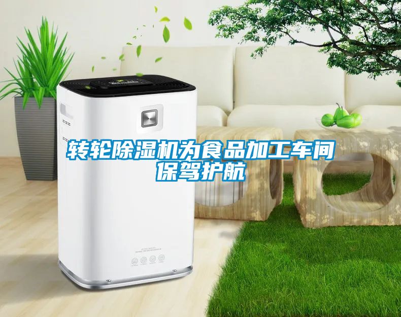 轉(zhuǎn)輪除濕機為食品加工車間保駕護航