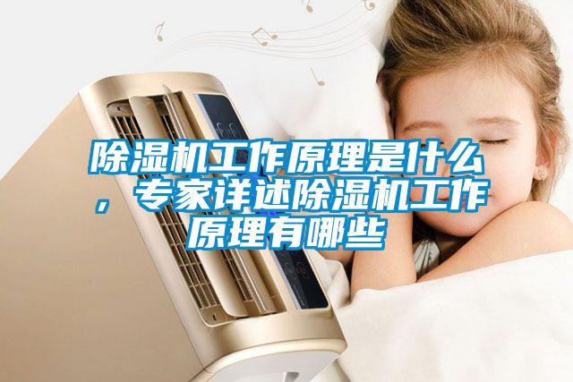 除濕機工作原理是什么，專家詳述除濕機工作原理有哪些
