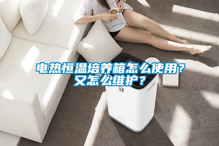 電熱恒溫培養(yǎng)箱怎么使用？又怎么維護(hù)？