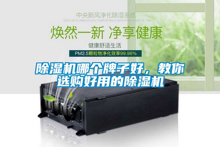 除濕機(jī)哪個牌子好，教你選購好用的除濕機(jī)