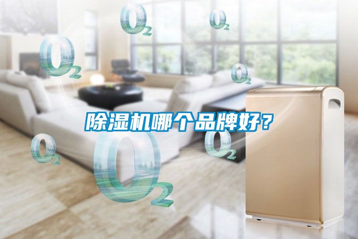 除濕機(jī)哪個品牌好？