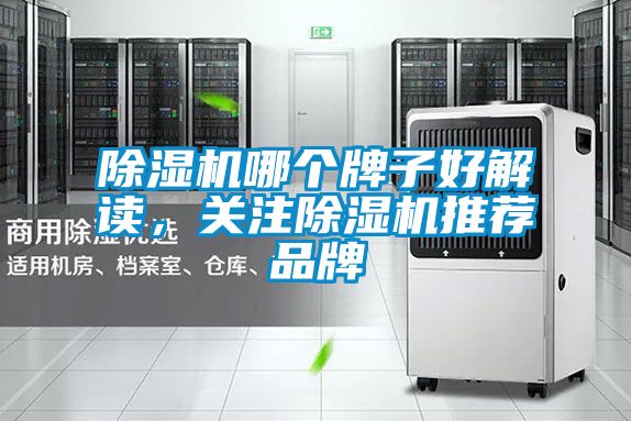 除濕機哪個牌子好解讀，關(guān)注除濕機推薦品牌
