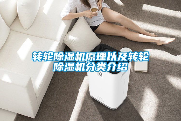 轉(zhuǎn)輪除濕機(jī)原理以及轉(zhuǎn)輪除濕機(jī)分類(lèi)介紹