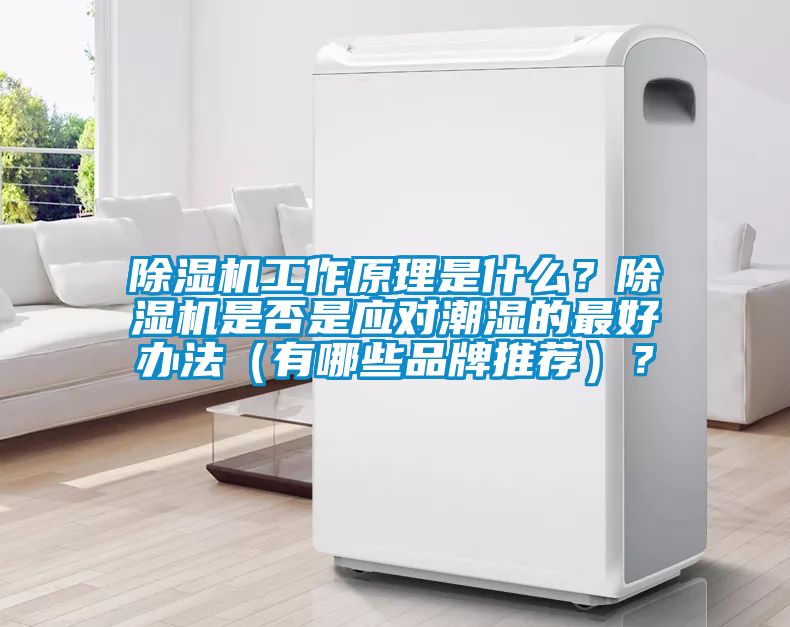 除濕機(jī)工作原理是什么？除濕機(jī)是否是應(yīng)對(duì)潮濕的最好辦法（有哪些品牌推薦）？