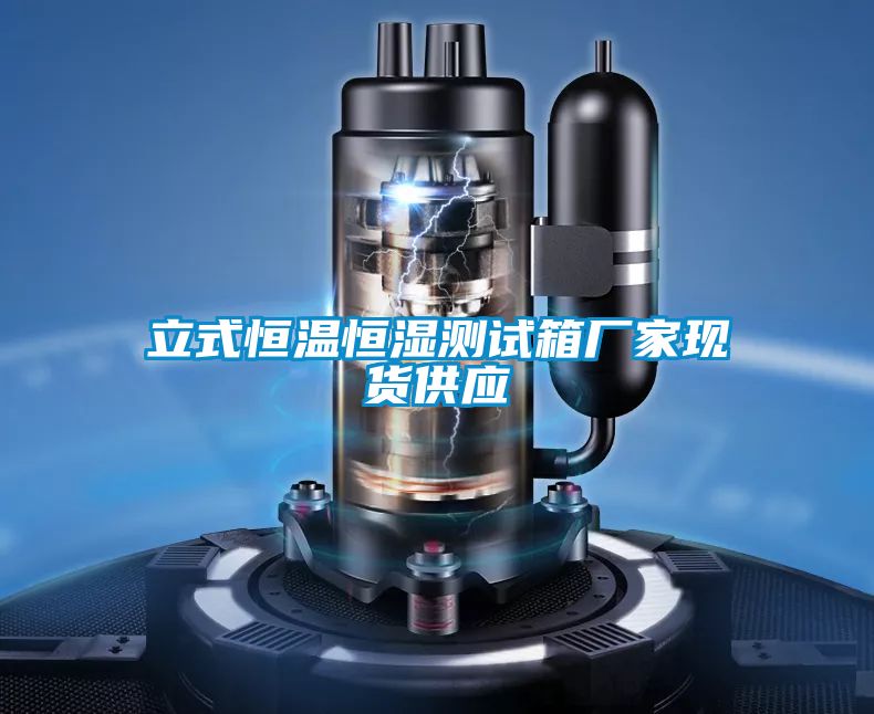 立式恒溫恒濕測試箱廠家現(xiàn)貨供應(yīng)