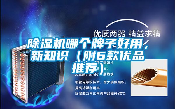 除濕機哪個牌子好用，新知識（附6款優(yōu)品推薦）