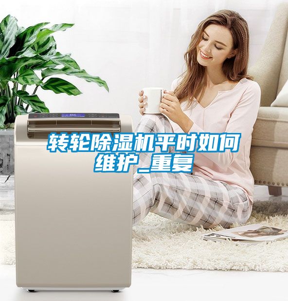 轉(zhuǎn)輪除濕機平時如何維護_重復