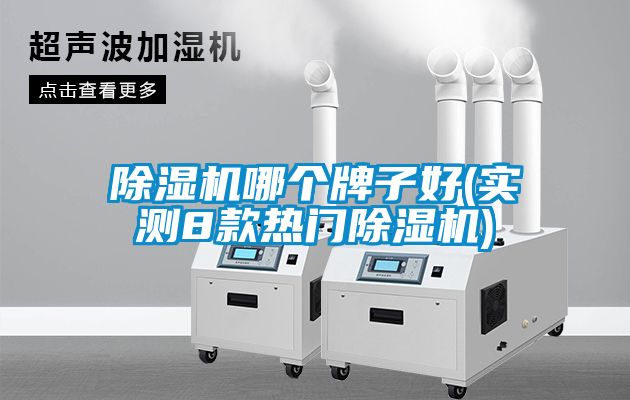 除濕機(jī)哪個(gè)牌子好(實(shí)測(cè)8款熱門(mén)除濕機(jī))