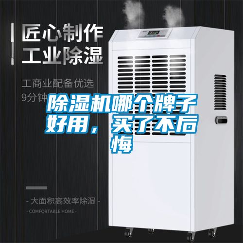 除濕機哪個牌子好用，買了不后悔