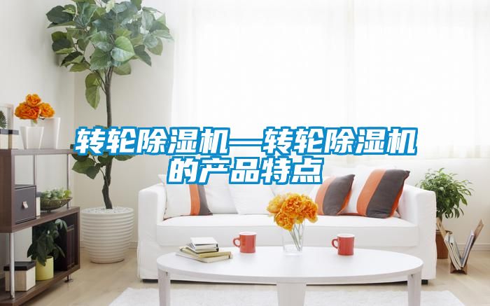 轉(zhuǎn)輪除濕機(jī)—轉(zhuǎn)輪除濕機(jī)的產(chǎn)品特點(diǎn)