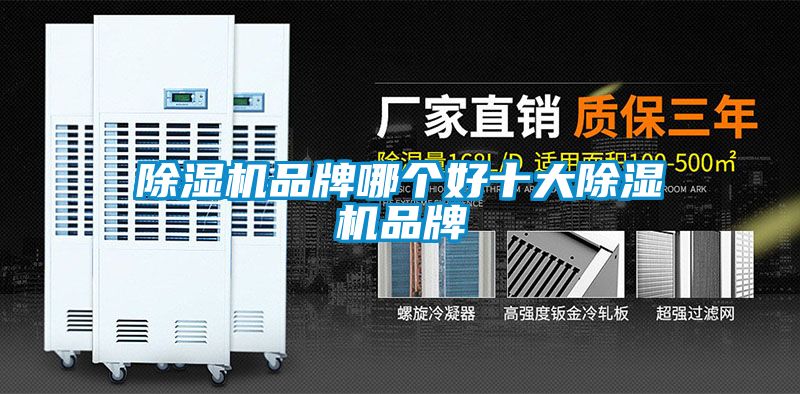 除濕機(jī)品牌哪個(gè)好十大除濕機(jī)品牌