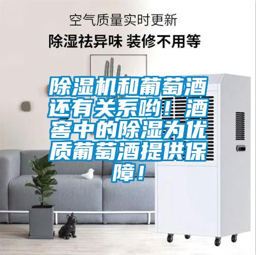 除濕機和葡萄酒還有關系喲！酒窖中的除濕為優質葡萄酒提供保障！