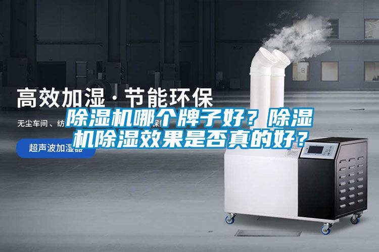 除濕機哪個牌子好？除濕機除濕效果是否真的好？