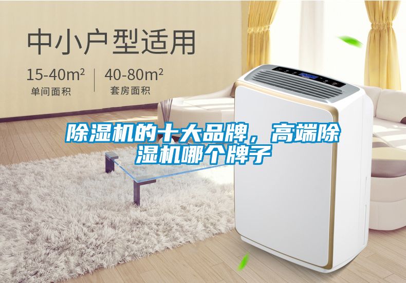 除濕機(jī)的十大品牌，高端除濕機(jī)哪個(gè)牌子