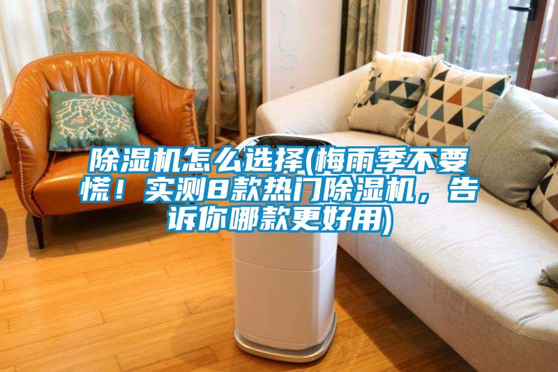 除濕機(jī)怎么選擇(梅雨季不要慌！實測8款熱門除濕機(jī)，告訴你哪款更好用)