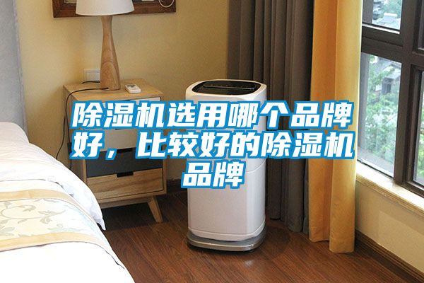 除濕機(jī)選用哪個(gè)品牌好，比較好的除濕機(jī)品牌