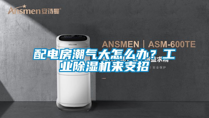 配電房潮氣大怎么辦？工業除濕機來支招