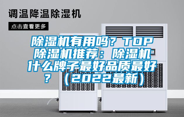 除濕機有用嗎？TOP除濕機推薦：除濕機什么牌子最好品質最好？（2022最新）